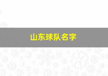 山东球队名字