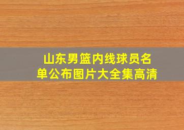 山东男篮内线球员名单公布图片大全集高清