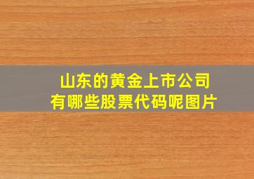 山东的黄金上市公司有哪些股票代码呢图片