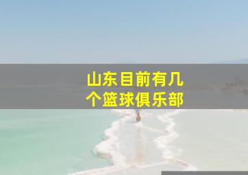 山东目前有几个篮球俱乐部