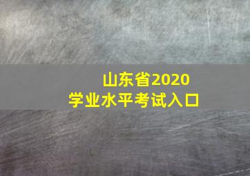 山东省2020学业水平考试入口