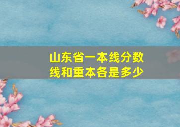 山东省一本线分数线和重本各是多少