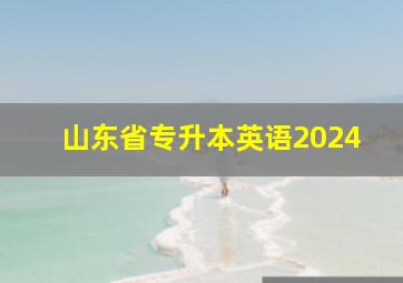 山东省专升本英语2024