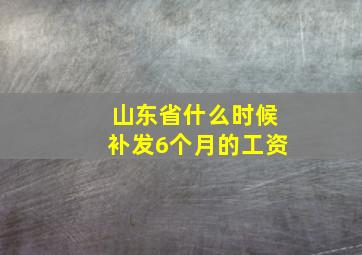 山东省什么时候补发6个月的工资