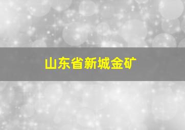 山东省新城金矿