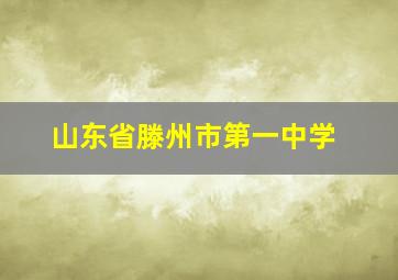 山东省滕州市第一中学