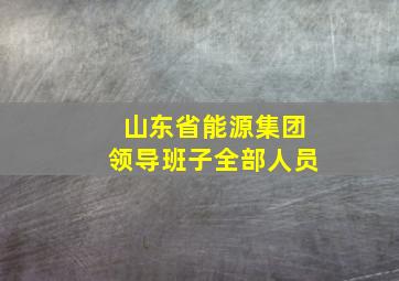 山东省能源集团领导班子全部人员