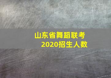 山东省舞蹈联考2020招生人数