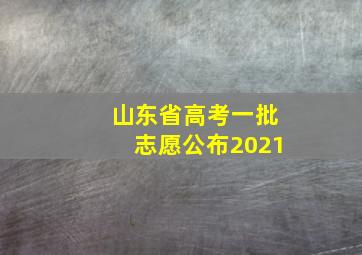 山东省高考一批志愿公布2021