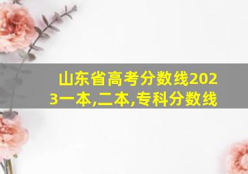 山东省高考分数线2023一本,二本,专科分数线