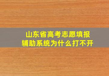 山东省高考志愿填报辅助系统为什么打不开