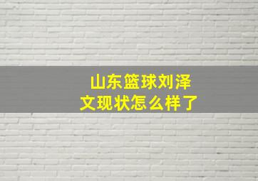 山东篮球刘泽文现状怎么样了