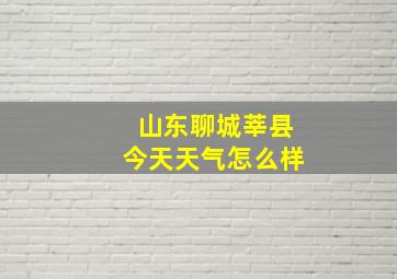 山东聊城莘县今天天气怎么样