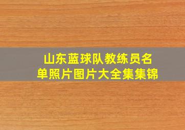 山东蓝球队教练员名单照片图片大全集集锦