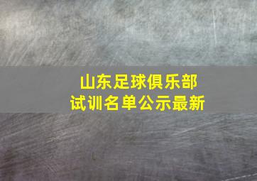 山东足球俱乐部试训名单公示最新