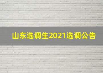 山东选调生2021选调公告