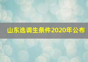 山东选调生条件2020年公布