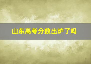 山东高考分数出炉了吗