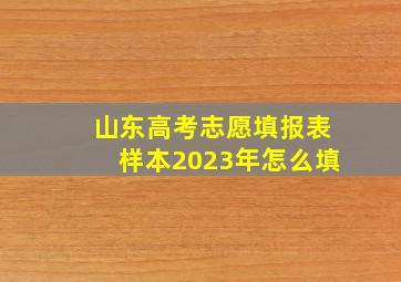 山东高考志愿填报表样本2023年怎么填