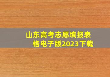 山东高考志愿填报表格电子版2023下载