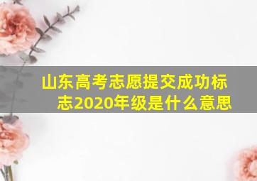 山东高考志愿提交成功标志2020年级是什么意思