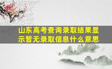 山东高考查询录取结果显示暂无录取信息什么意思