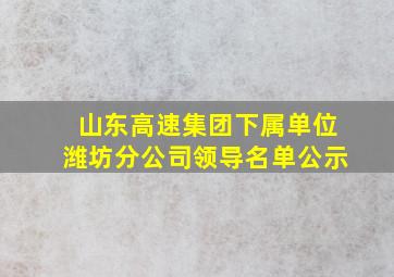 山东高速集团下属单位潍坊分公司领导名单公示