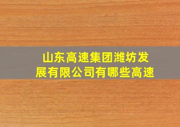 山东高速集团潍坊发展有限公司有哪些高速