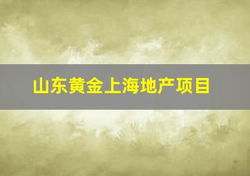 山东黄金上海地产项目