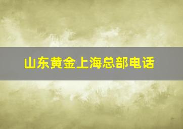 山东黄金上海总部电话