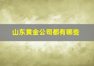 山东黄金公司都有哪些