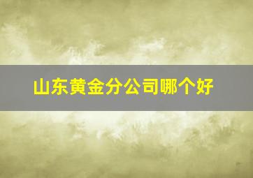 山东黄金分公司哪个好