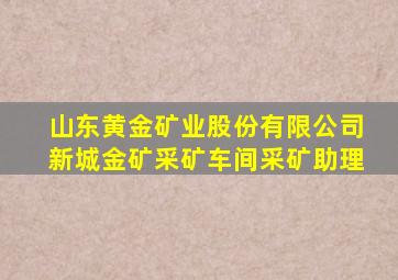 山东黄金矿业股份有限公司新城金矿采矿车间采矿助理