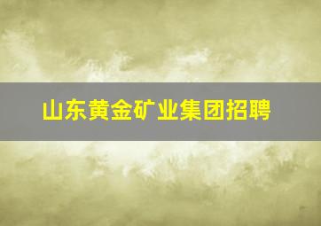 山东黄金矿业集团招聘