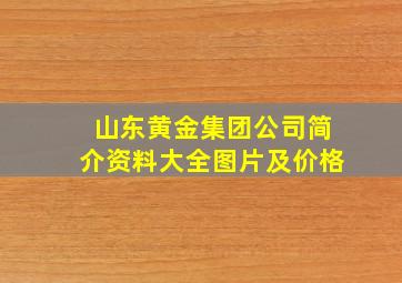 山东黄金集团公司简介资料大全图片及价格