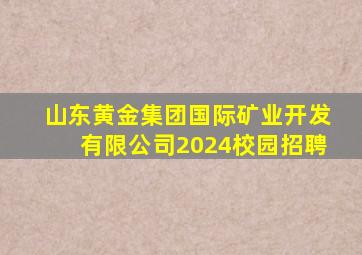 山东黄金集团国际矿业开发有限公司2024校园招聘