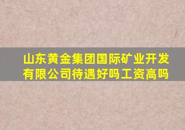 山东黄金集团国际矿业开发有限公司待遇好吗工资高吗