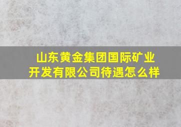 山东黄金集团国际矿业开发有限公司待遇怎么样