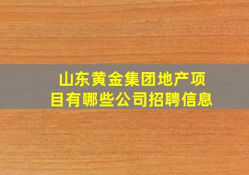 山东黄金集团地产项目有哪些公司招聘信息