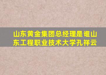 山东黄金集团总经理是谁山东工程职业技术大学孔祥云