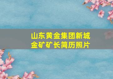 山东黄金集团新城金矿矿长简历照片