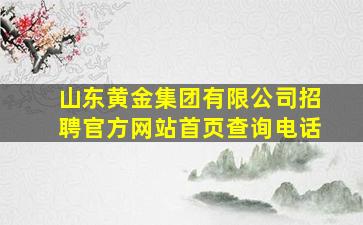 山东黄金集团有限公司招聘官方网站首页查询电话