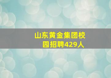 山东黄金集团校园招聘429人