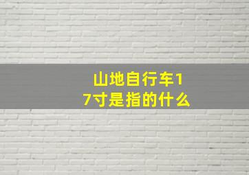 山地自行车17寸是指的什么