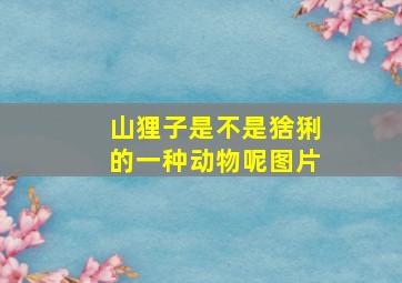 山狸子是不是猞猁的一种动物呢图片