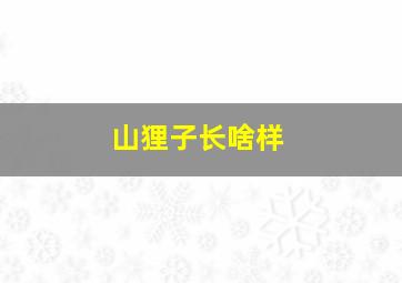 山狸子长啥样