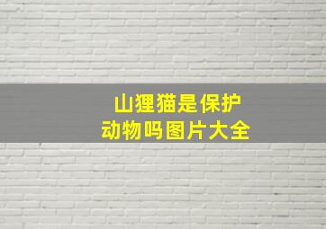 山狸猫是保护动物吗图片大全