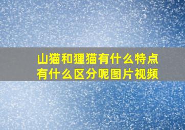 山猫和狸猫有什么特点有什么区分呢图片视频