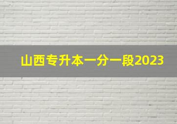 山西专升本一分一段2023