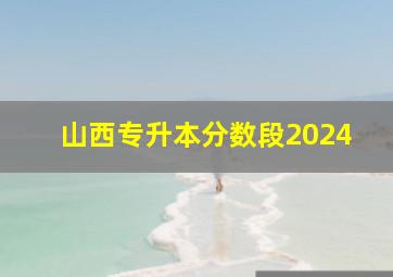 山西专升本分数段2024